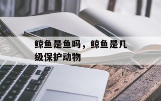 鲸鱼是鱼吗，鲸鱼是几级保护动物