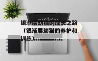 银渐层幼猫的成长之路（银渐层幼猫的养护和训练）
