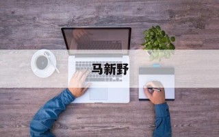 马新野
