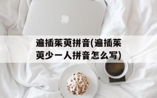 遍插茱萸拼音(遍插茱萸少一人拼音怎么写)