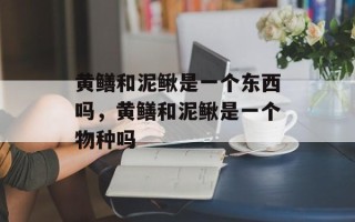 黄鳝和泥鳅是一个东西吗，黄鳝和泥鳅是一个物种吗