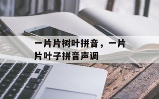 一片片树叶拼音，一片片叶子拼音声调