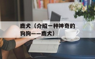 鹿犬（介绍一种神奇的狗狗——鹿犬）
