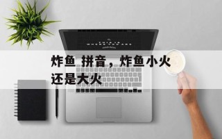 炸鱼 拼音，炸鱼小火还是大火