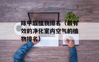 除甲醛植物排名（最有效的净化室内空气的植物排名）