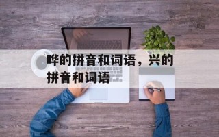 哗的拼音和词语，兴的拼音和词语