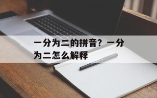 一分为二的拼音？一分为二怎么解释