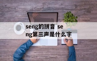 seng的拼音 seng第三声是什么字