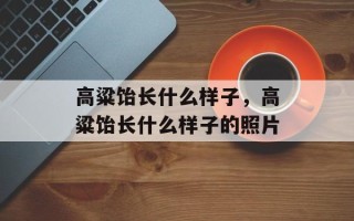 高粱饴长什么样子，高粱饴长什么样子的照片