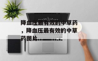 降血压最有效的中草药，降血压最有效的中草药图片
