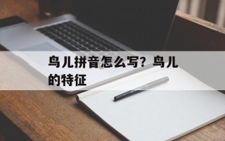 鸟儿拼音怎么写？鸟儿的特征