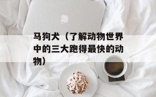 马狗犬（了解动物世界中的三大跑得最快的动物）