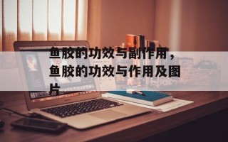 鱼胶的功效与副作用，鱼胶的功效与作用及图片