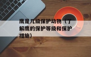 鹰是几级保护动物（了解鹰的保护等级和保护措施）