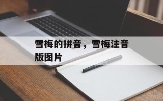 雪梅的拼音，雪梅注音版图片