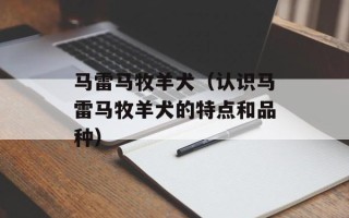 马雷马牧羊犬（认识马雷马牧羊犬的特点和品种）