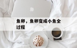 鱼卵，鱼卵变成小鱼全过程