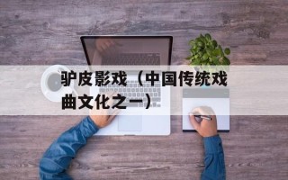 驴皮影戏（中国传统戏曲文化之一）