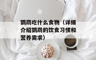 鹦鹉吃什么食物（详细介绍鹦鹉的饮食习惯和营养需求）