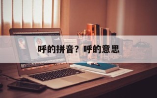 呼的拼音？呼的意思