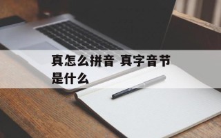 真怎么拼音 真字音节是什么