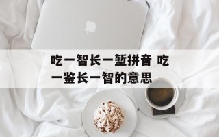 吃一智长一堑拼音 吃一鉴长一智的意思