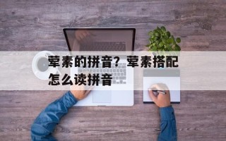 荤素的拼音？荤素搭配怎么读拼音