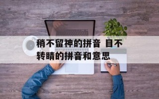 稍不留神的拼音 目不转睛的拼音和意思