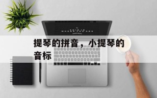提琴的拼音，小提琴的音标
