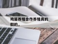 鸡苗养殖合作养殖真的假的，