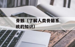 骨骸（了解人类骨骼系统的知识）