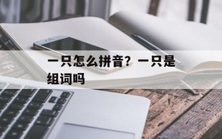 一只怎么拼音？一只是组词吗