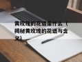 黄玫瑰的花语是什么（揭秘黄玫瑰的花语与含义）