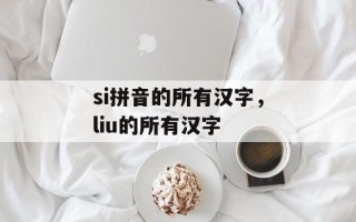 si拼音的所有汉字，liu的所有汉字