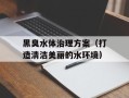 黑臭水体治理方案（打造清洁美丽的水环境）