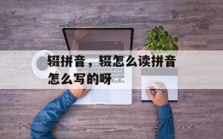 辍拼音，辍怎么读拼音怎么写的呀