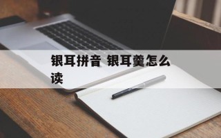 银耳拼音 银耳羹怎么读