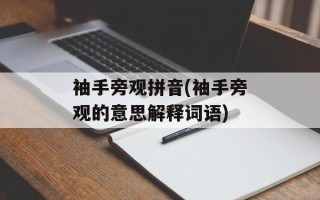 袖手旁观拼音(袖手旁观的意思解释词语)