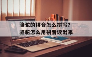 骆驼的拼音怎么拼写？骆驼怎么用拼音读出来