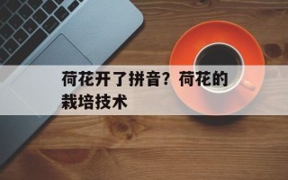 荷花开了拼音？荷花的栽培技术
