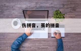 伤拼音，虽的拼音