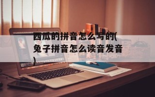 西瓜的拼音怎么写的(兔子拼音怎么读音发音)