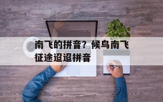 南飞的拼音？候鸟南飞征途迢迢拼音