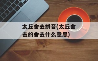 太丘舍去拼音(太丘舍去的舍去什么意思)