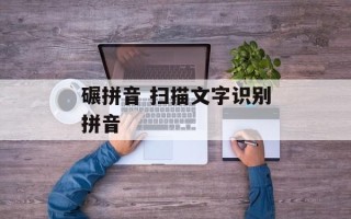碾拼音 扫描文字识别拼音
