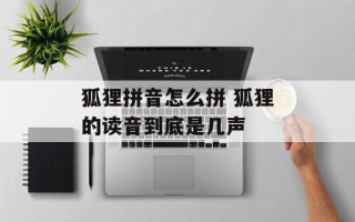 狐狸拼音怎么拼 狐狸的读音到底是几声