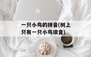 一只小鸟的拼音(树上只有一只小鸟读音)