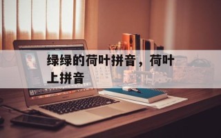 绿绿的荷叶拼音，荷叶上拼音