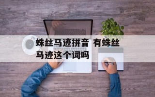 蛛丝马迹拼音 有蛛丝马迹这个词吗