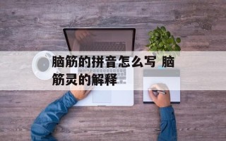 脑筋的拼音怎么写 脑筋灵的解释